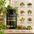 Stonaura Support – Kidney Wellness Capsules