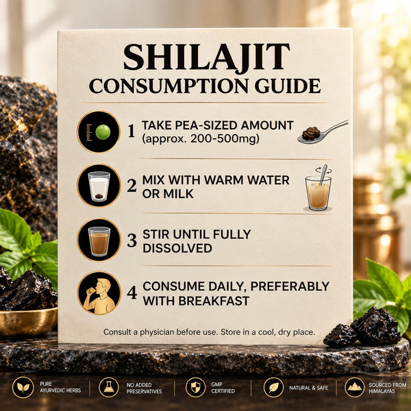 Shilajit Resin – 29g